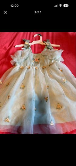 Girls Floral Tulle Dress Light Blue