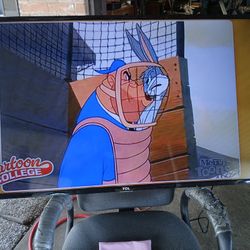 55" TCL/Rolu Smart TV 