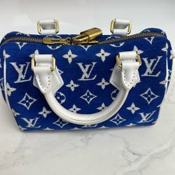 Louis Vuitton Handbag Bandoulier