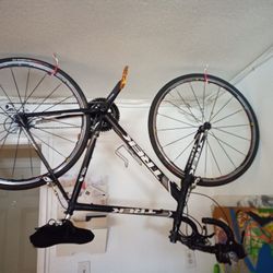 Trek Road Bike 
