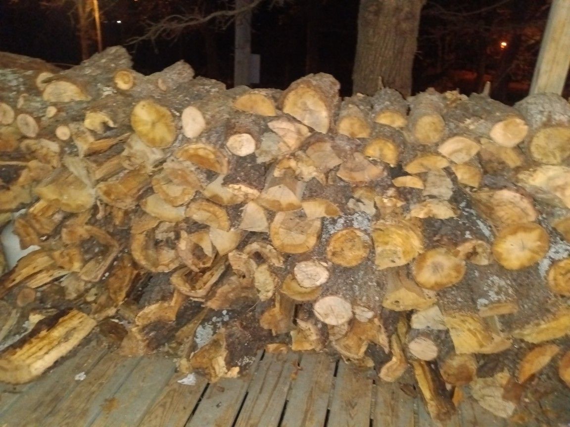 Firewood 