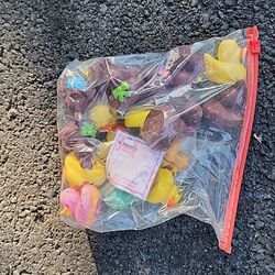 Bag Of Small Rubber Ducks