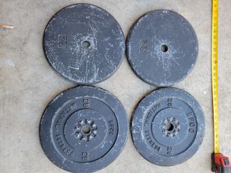 25 Lb Standard Plates