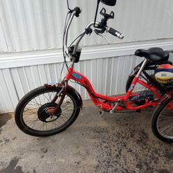 Schwinn adult trike
