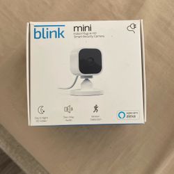 Blink Camera