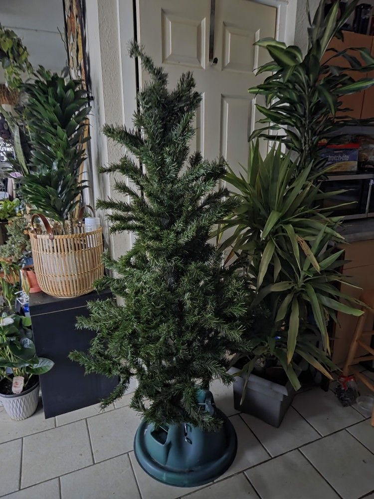 Beautiful Christmas Tree 🎄 