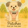 patches
