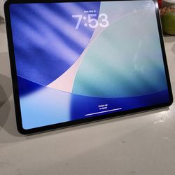 iPad pro M4 13 inches cellular