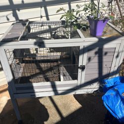 Rabbit 🐇 Cage
