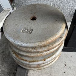 Standard 25 lbs Weight Plate (6) Total