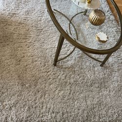 Rug No Stains Very Clean