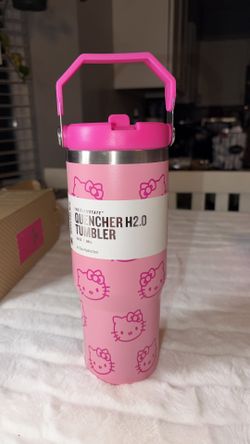 Hello Kitty And Labubu N More 