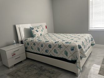Queen  Size Bed