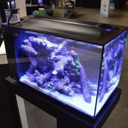 COMBO DEAL! FLUVAL 13.5G REEF TANK + LIVE REEF SAND + FLUVAL PROTEIN SKIMMER. READ DESCRIPTION!