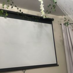Projector Screen