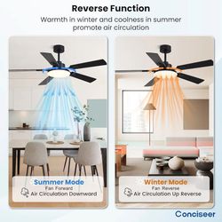 Pasky  52 inch Ceiling Fans with Lights