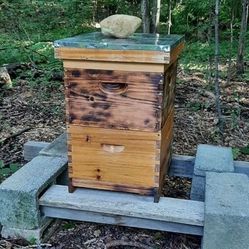 Bee Hive And Supplies