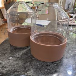 Ceramic And Glads Plant terrarium