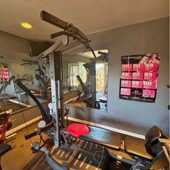 Bowflex Ultimate 2 