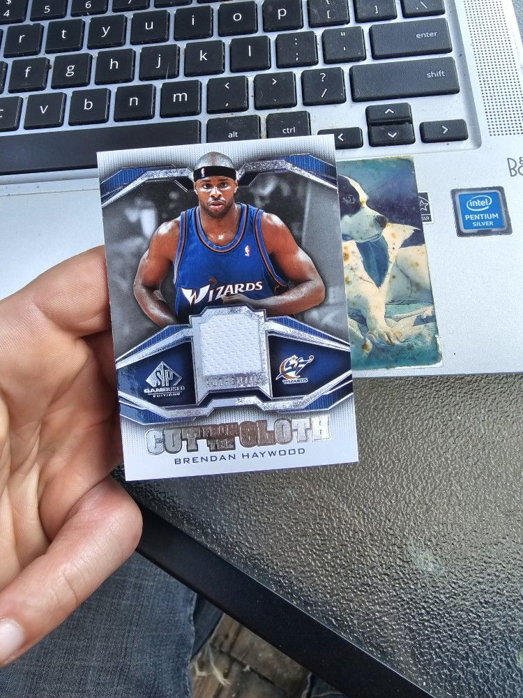 Brendan Haywood Basketball Card