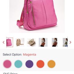 American Leather Co Leather Backpack $125.00