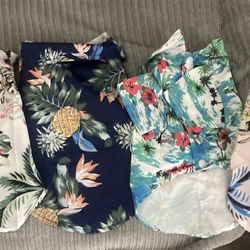 Hawaii Dog Shirts
