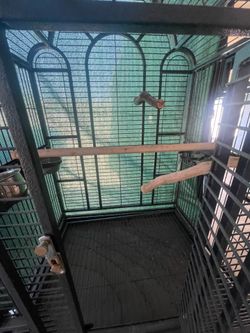 Bird cage