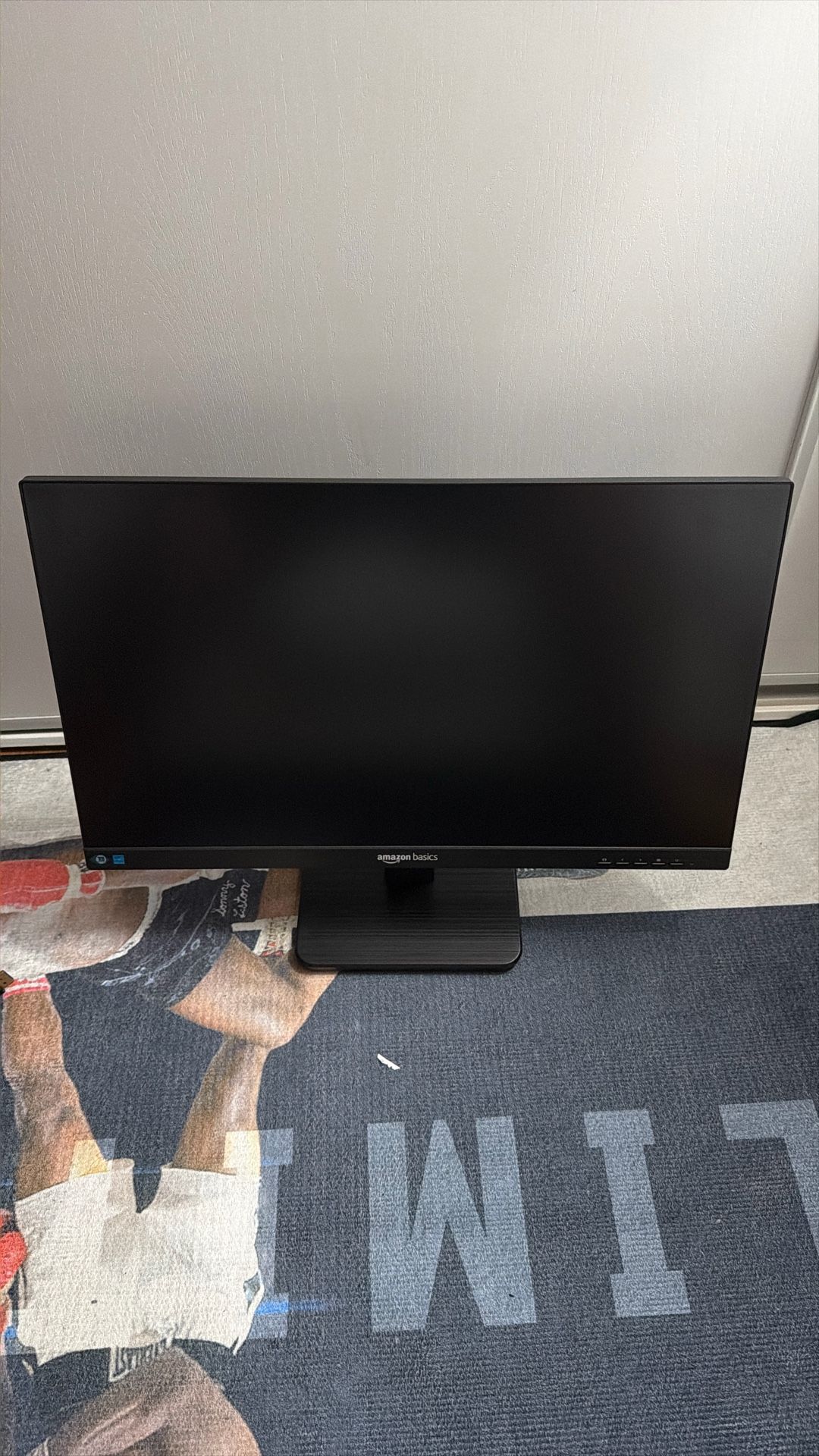24” Monitor 