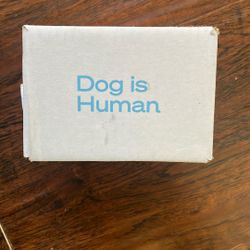 Dog Is Human 