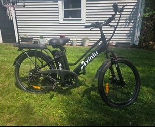 Adult E Bike