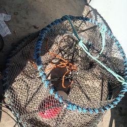 Crab Trap . Basket Heavy Duty 