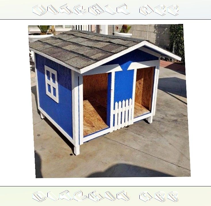 morning human Create the Perfect Dog Home - Fashion and Comfort Joined