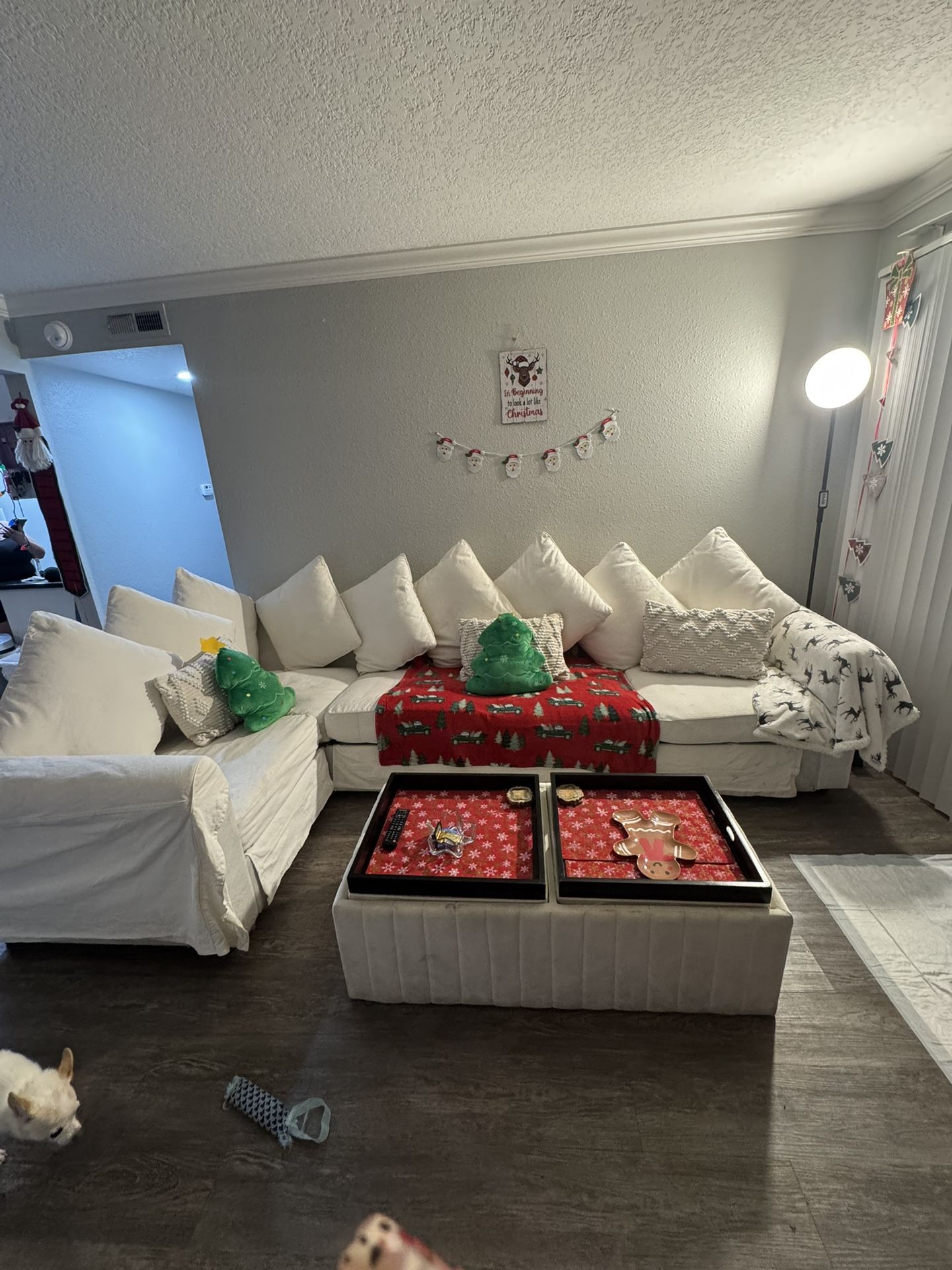 Cream/ White Couch