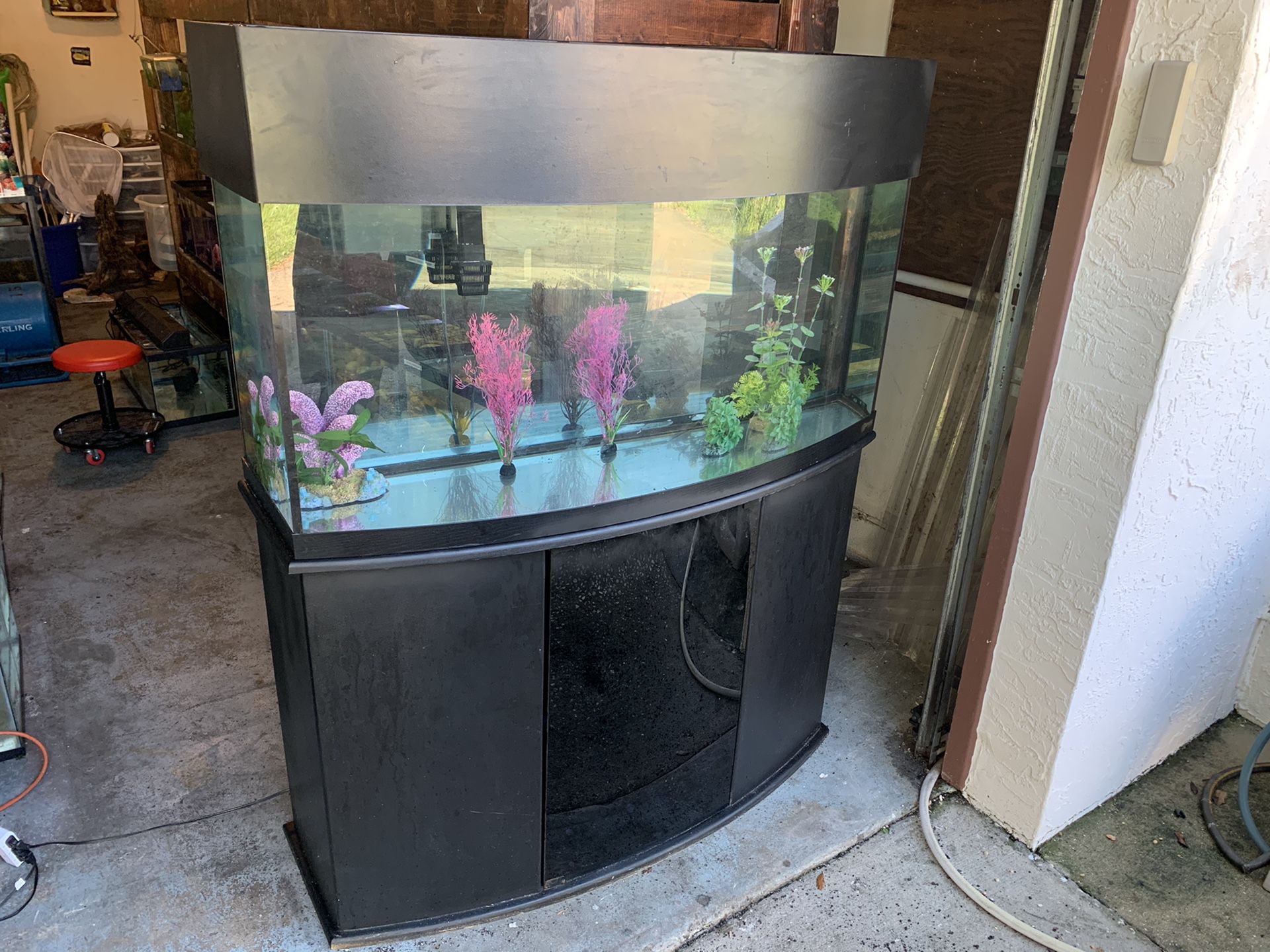 72 gallon Bowfront Fish Tank Aquarium filter light Stand