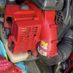 Free Fall Leaf Estimate 