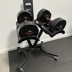 Adjustable Weight Dumbbells with stand