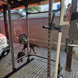 Squat Rack / Dip Bar And Pull-up Bar With Plats 45 