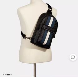 Coach backpacks and bags
