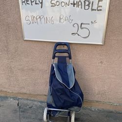 Shopping Bag With Wheels 