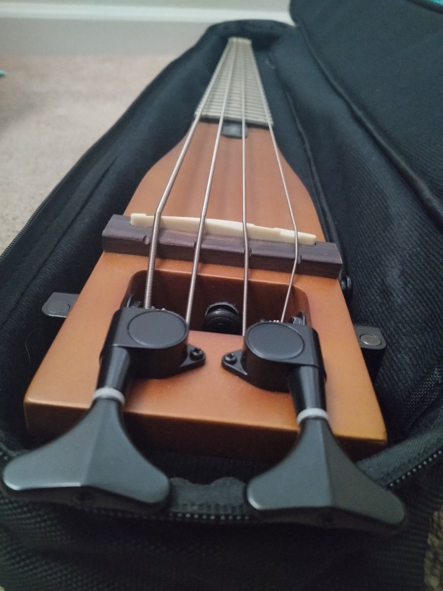 AnyGig Electric ⚡Lap Guitar 🎸 236$ On Amazon Asking 160$