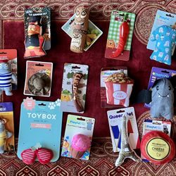 Large 14 Piece Lot Of Cat/Kitten Toys/Variety-Some W/Catnip- New