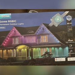 100ft Govee Lights 