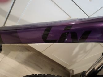 Liv Tempt 2 Hardtail 2020 Bike for Sale in Glendale, AZ - OfferUp