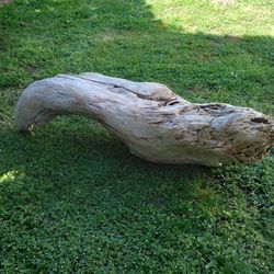 Natural Driftwood For Aquariums Terrariums Decor 