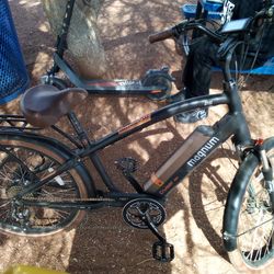 Magnum Cruiser 29" 48v  E-Bike