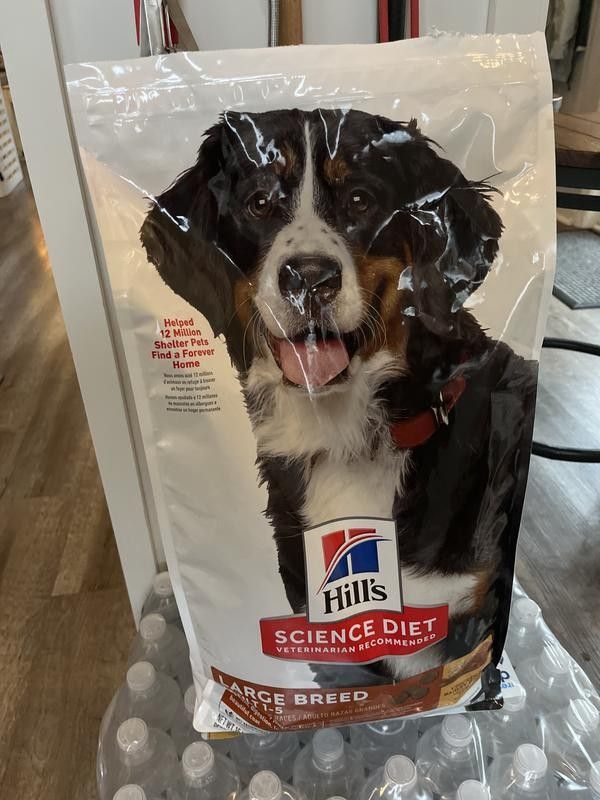 Hill's Science Diet Adult Large Breed Dry Dog Food, 15-lb bag