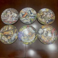 Cat Plates