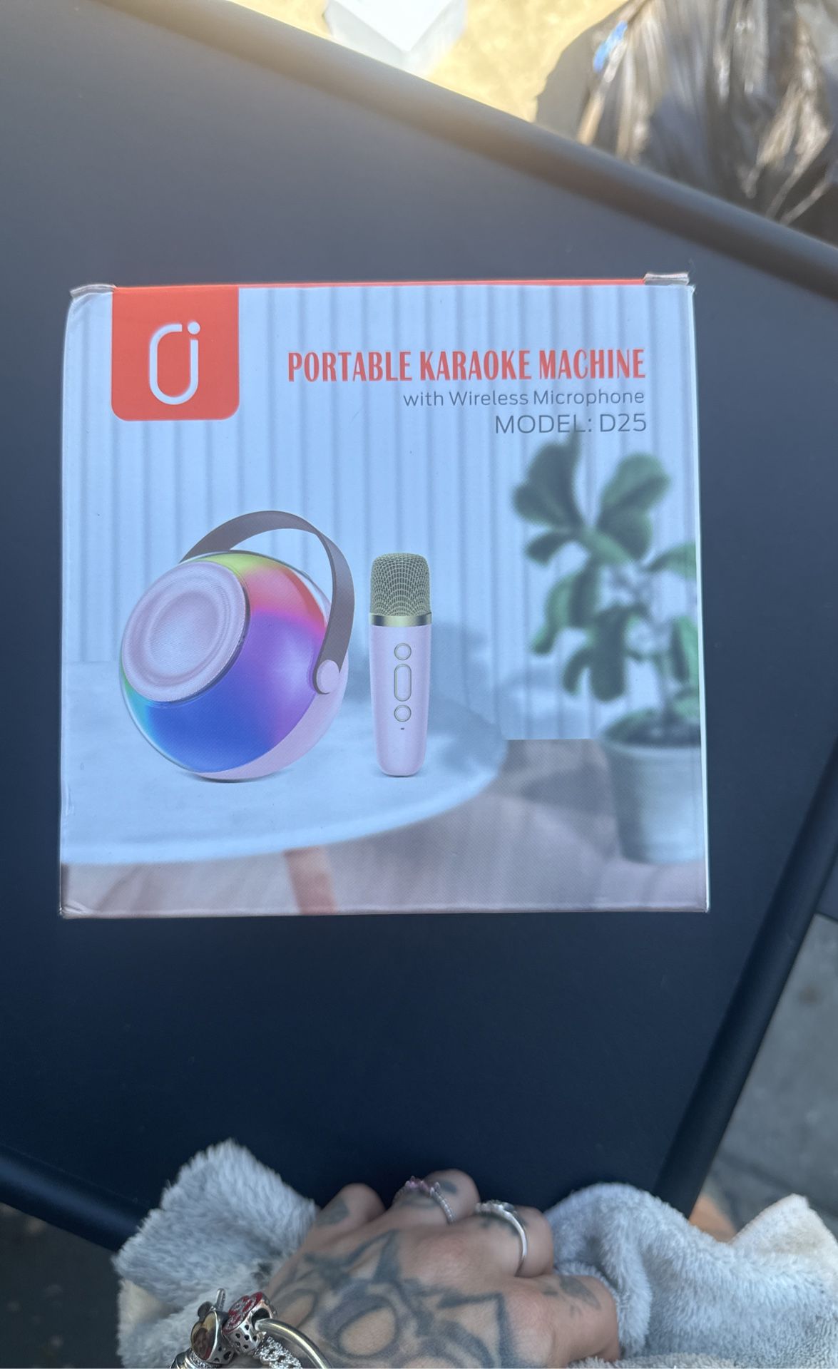 Portable Karaoke