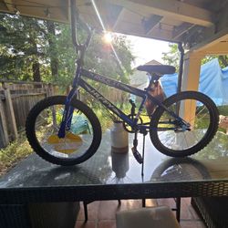 Bike (20 Inch) New 