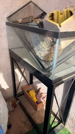 fish/turtle tank